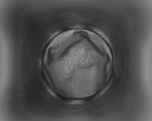 X0000083560057200703021731