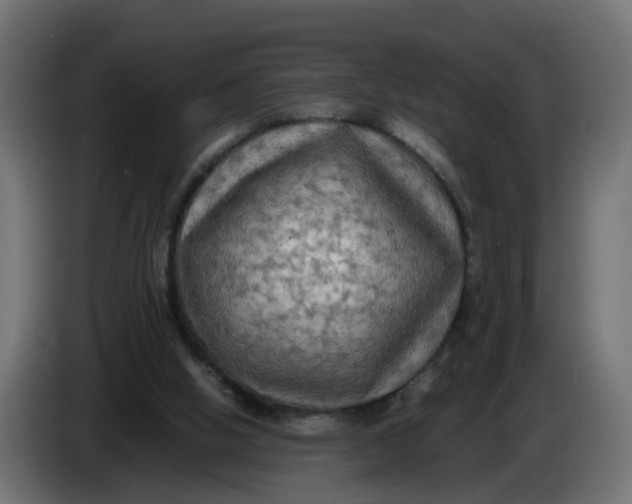 X0000083560058200703021731