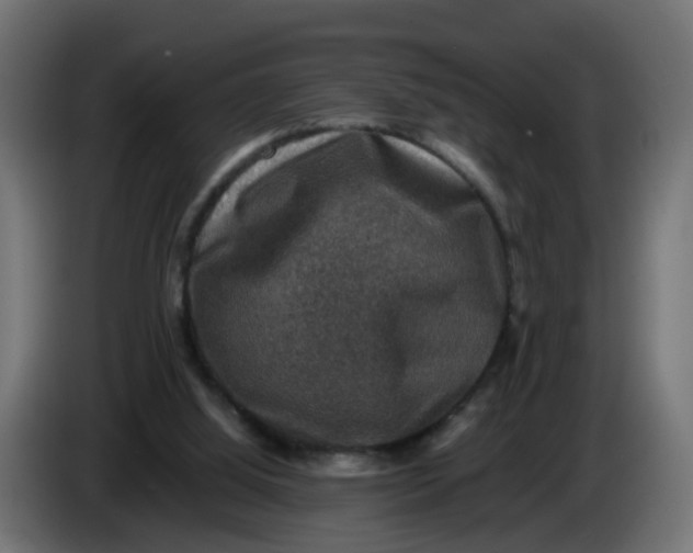 X0000083560060200703021731