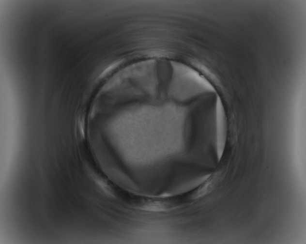 X0000083560062200703021731