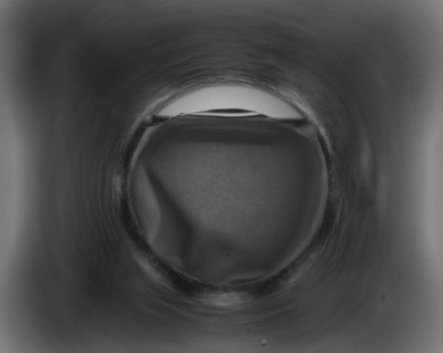 X0000083560063200703021731