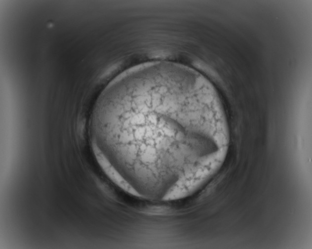 X0000083560066200703021731