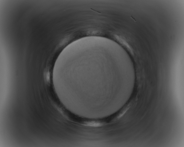 X0000083560067200703021731