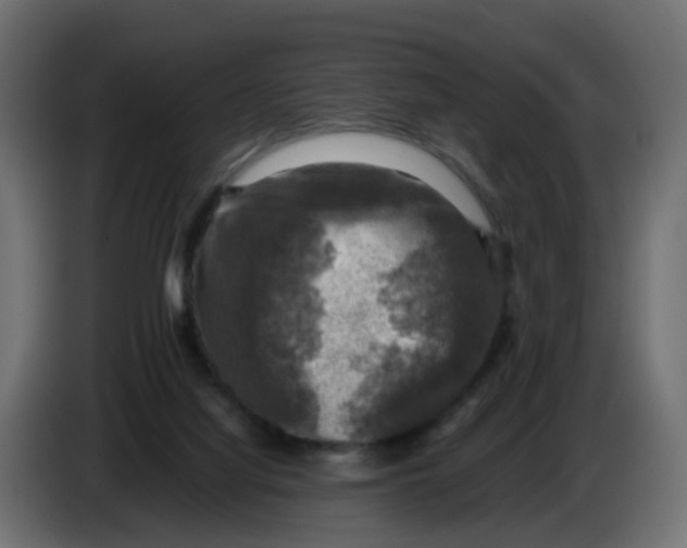 X0000083560068200703021731