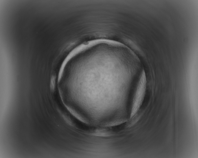 X0000083560070200703021731