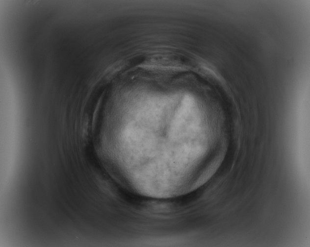 X0000083560073200703021731