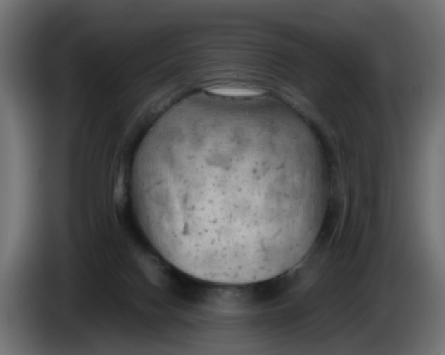 X0000083560074200703021731