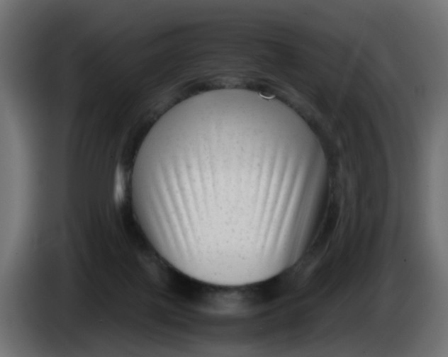 X0000083560075200703021731