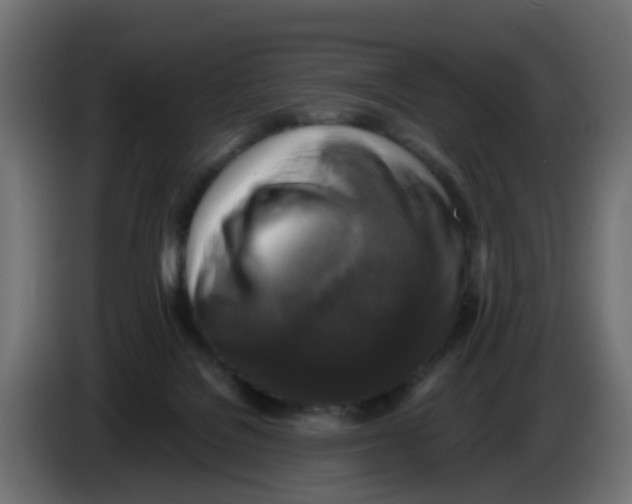 X0000083560076200703021731