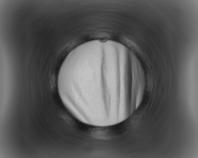 X0000083560077200703021731