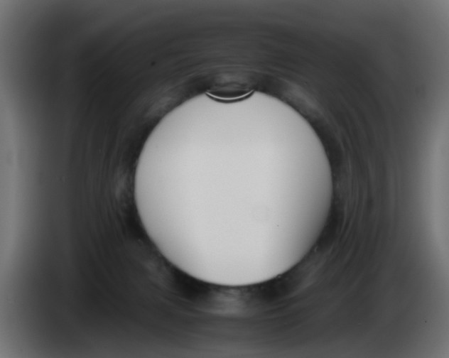 X0000083560079200703021731