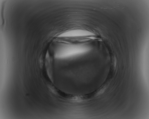 X0000083560080200703021731