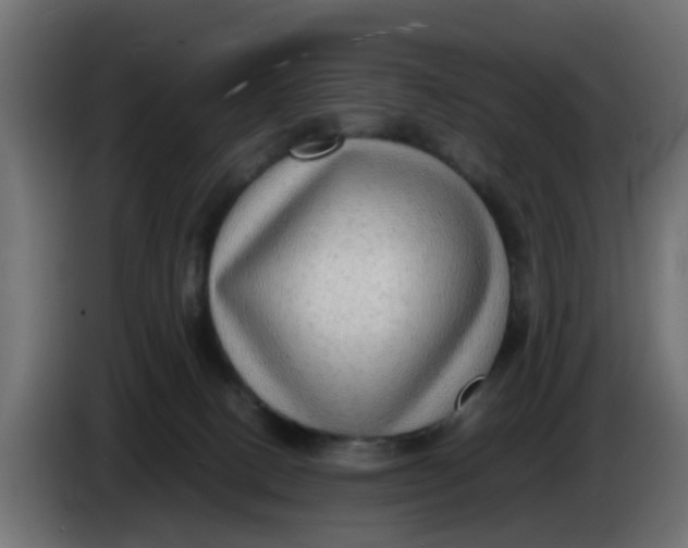 X0000083560082200703021731