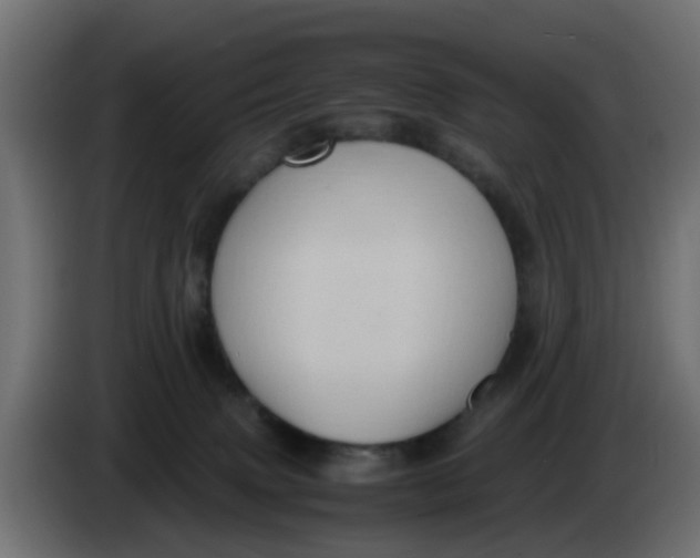 X0000083560083200703021731