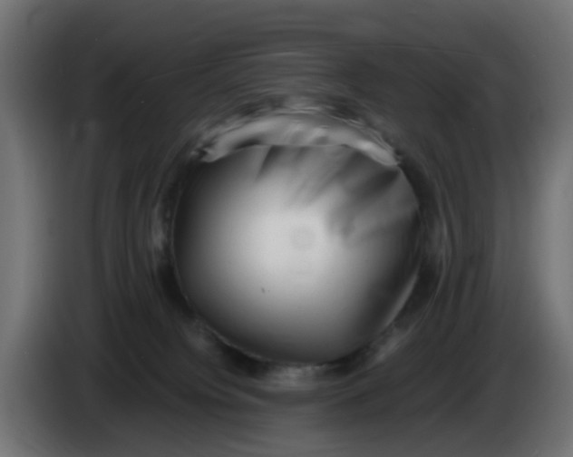 X0000083560084200703021731