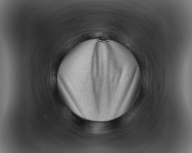 X0000083560085200703021731