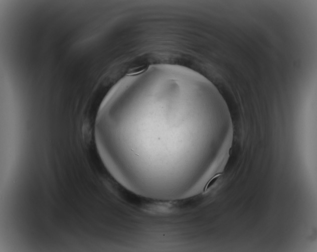 X0000083560086200703021731