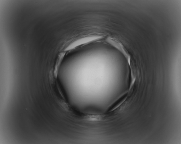 X0000083560088200703021731