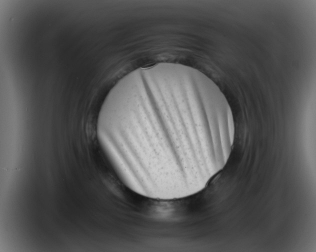 X0000083560091200703021731