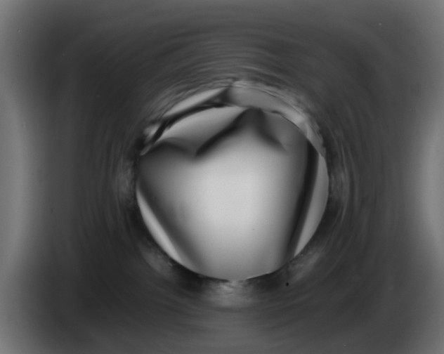 X0000083560092200703021731