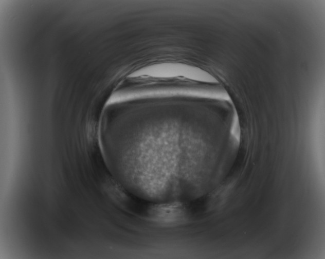 X0000083560093200703021731