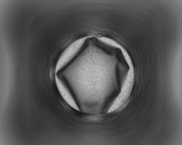 X0000083560094200703021731