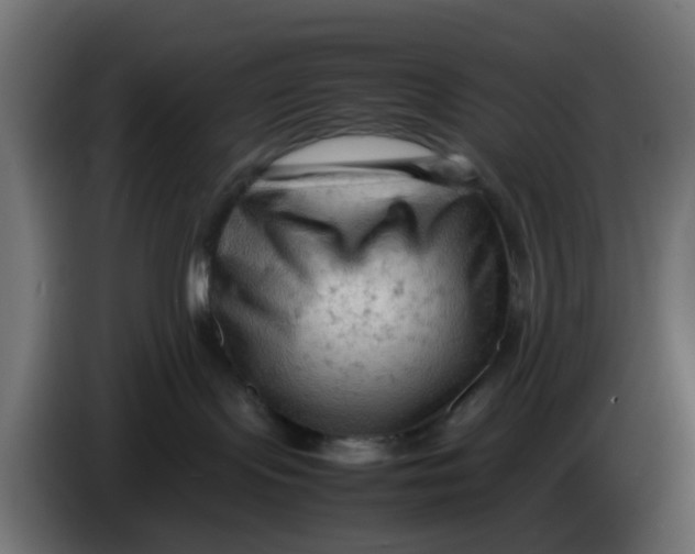 X0000083560095200703021731