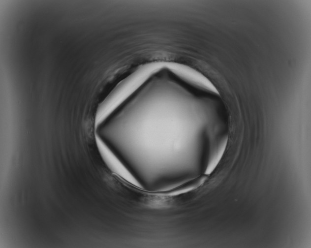 X0000083560096200703021731