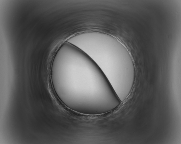 X0000083560097200703021730