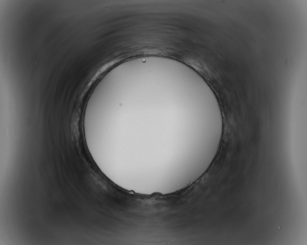 X0000083560098200703021730