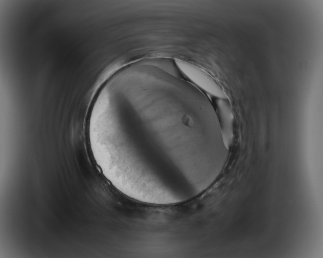 X0000083560099200703021730