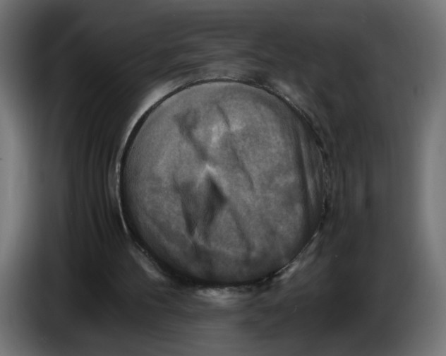 X0000083560100200703021730