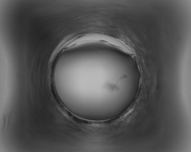 X0000083560101200703021730