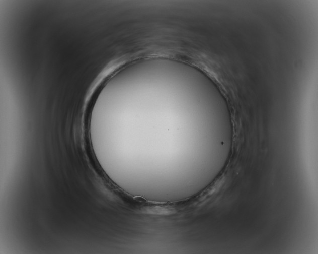 X0000083560102200703021730