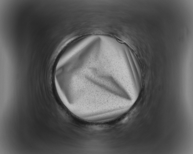 X0000083560103200703021730