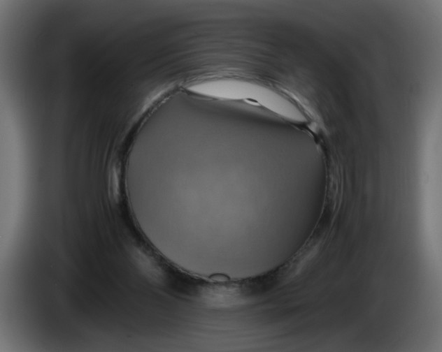 X0000083560110200703021730