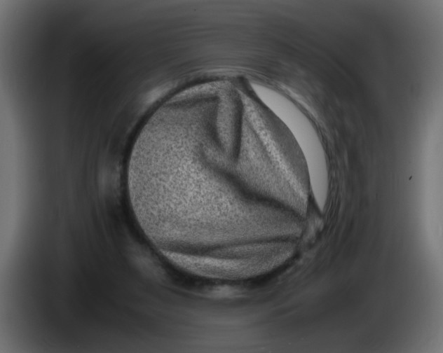 X0000083560111200703021730