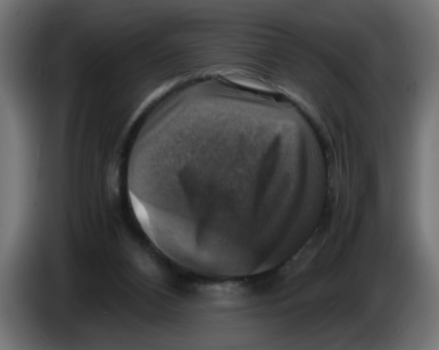 X0000083560112200703021730