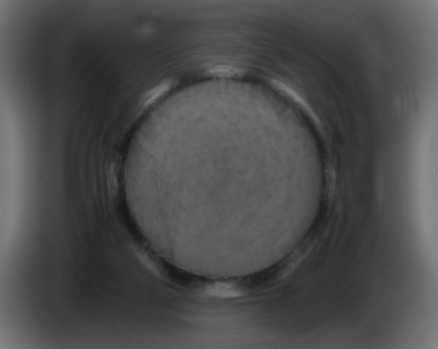 X0000083560114200703021730