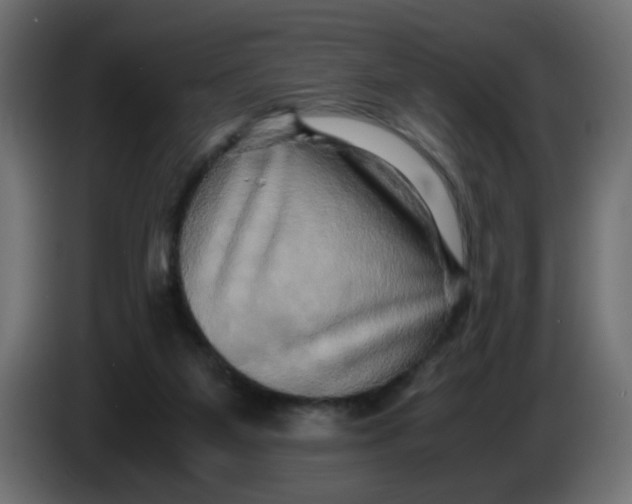 X0000083560115200703021730