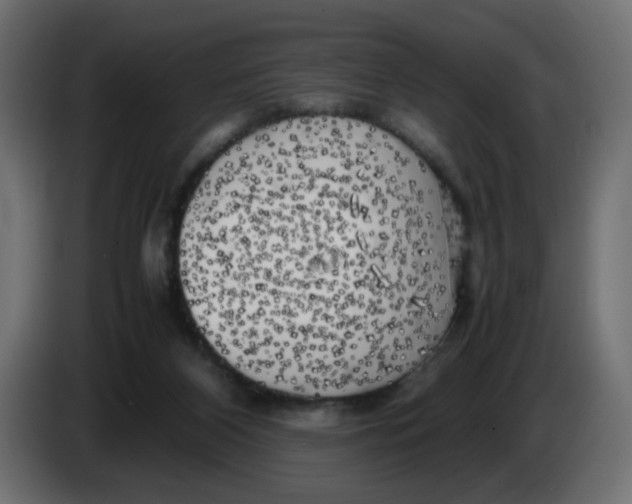 X0000083560116200703021730