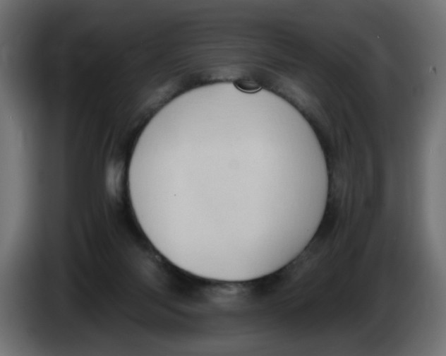 X0000083560118200703021730