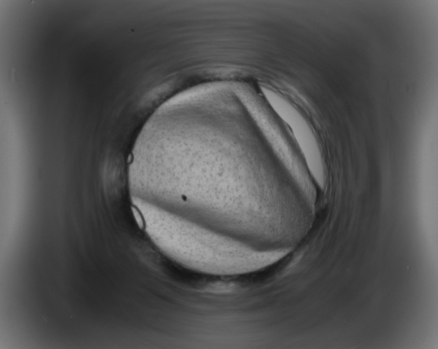 X0000083560119200703021730