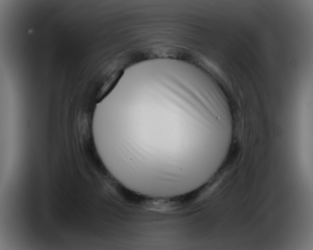 X0000083560121200703021730