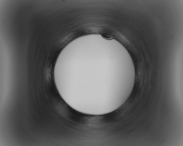 X0000083560122200703021730