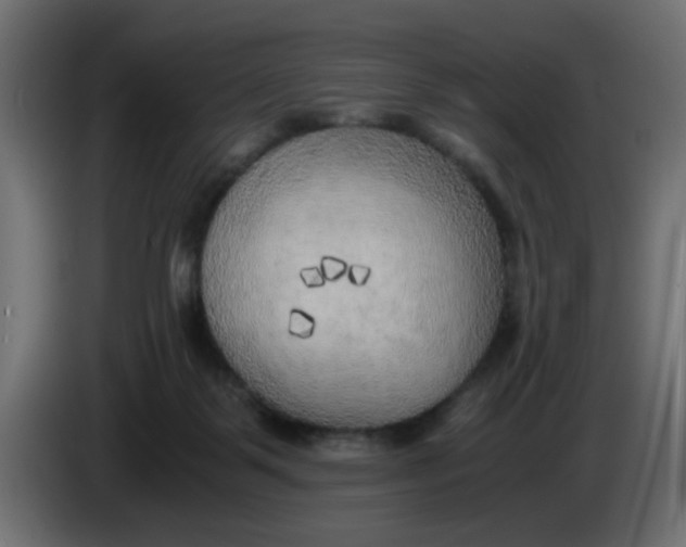 X0000083560123200703021730