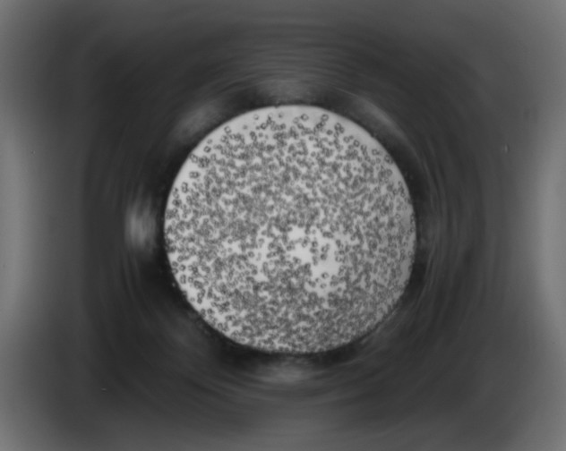 X0000083560124200703021730