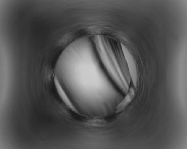 X0000083560125200703021730