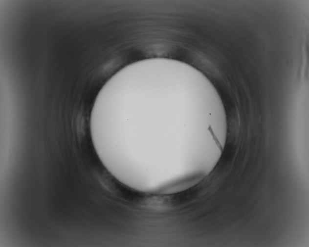 X0000083560126200703021730