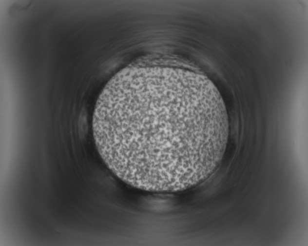 X0000083560128200703021730